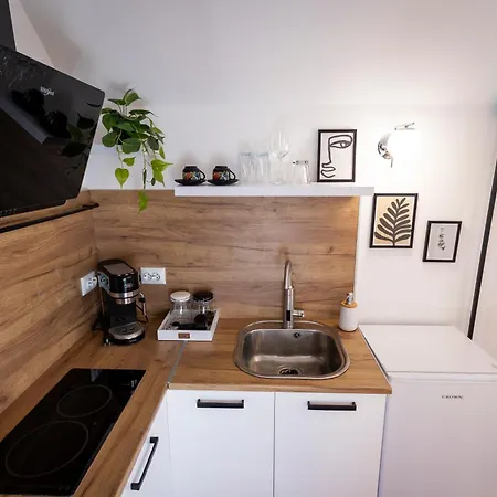 студио водни лилии Stara Zagora