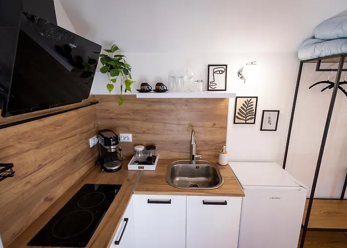 студио водни лилии 旧扎戈拉