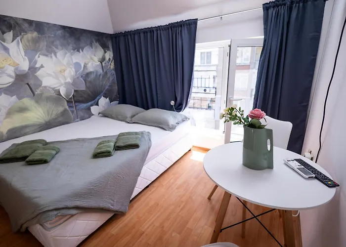 студио водни лилии * 旧扎戈拉