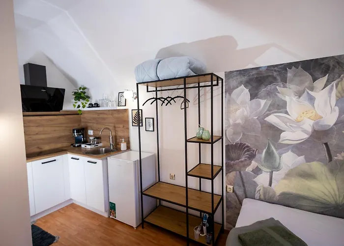 公寓 студио водни лилии *