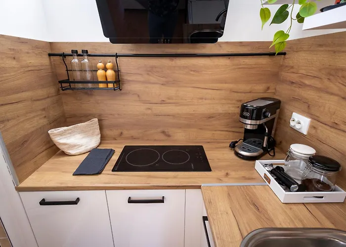 студио водни лилии 公寓 旧扎戈拉