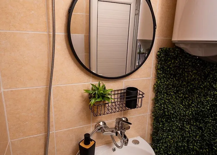 студио водни лилии 旧扎戈拉